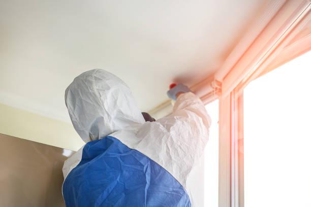 Why You Should Choose Our Mold Remediation Services in Oakdale, NY